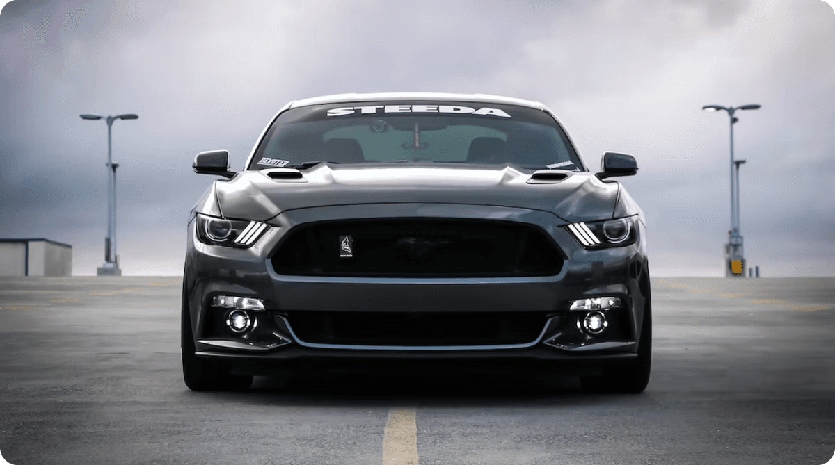 mustang